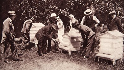 Bee-keeping instruction under Lord Eglinton
